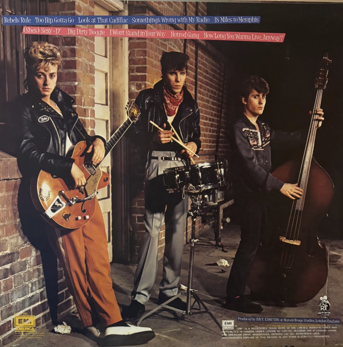 Stray Cats – Rant N' Rave With The Stray Cats (Vinyl LP - Canadian Pressing) - Image 2